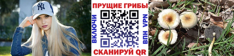 Галлюциногенные грибы ЛСД  МЕГА ссылка  Лабытнанги 