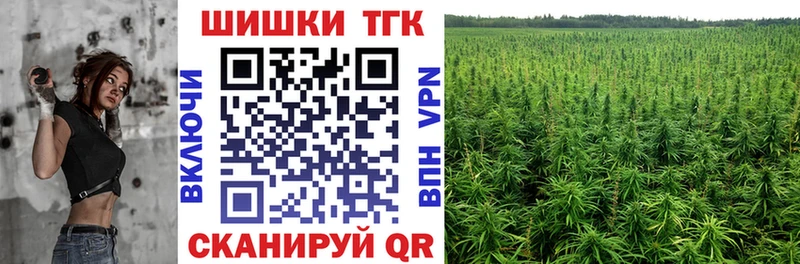 мега как зайти  Лабытнанги  Каннабис сатива 